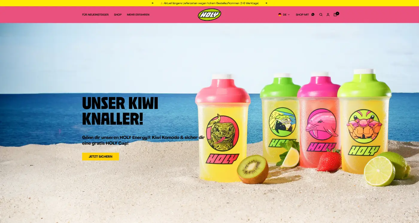 Screenshot der Webseite des Startups Holy Energy