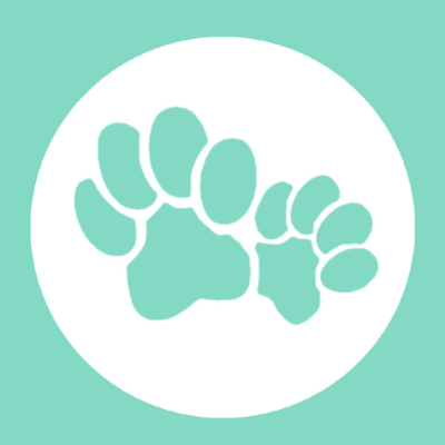 Internship / Praktikum UI / UX App-Design Dog/Hunde Startup